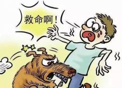 如遇惡犬咬人該怎么辦？這些知識(shí)也許能救命！